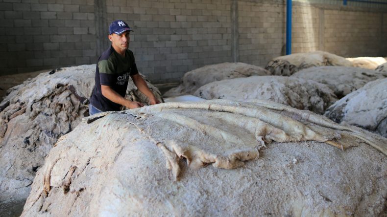 وزارة الصناعة: نحو جمع 2 مليون قطعة جلد من أضاحي العيد