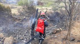 نشوب حرائق في 3 غابات بالشلف وتيبازة وبرج بوعريريج (فيديو)