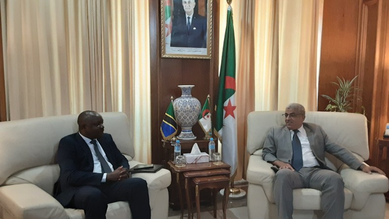 الجزائر تبحث فرص الاستثمار الطاقوي في تنزانيا