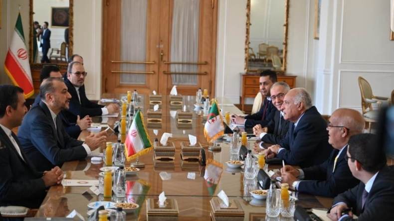 مباحثات بين الجزائر وإيران حول الترشّح للالتحاق بمجموعة بريكس (فيديو)