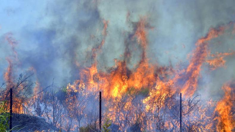 مصالح الدرك تدعو عائلات الضحايا إلى التقرّب من مراكزها