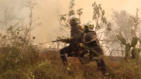 فتح تحقيقات ابتدائية حول أسباب نشوب حرائق الغابات في بجاية وجيجل