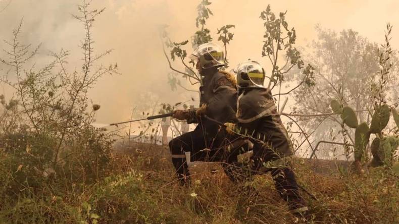 فتح تحقيقات ابتدائية حول أسباب نشوب حرائق الغابات في بجاية وجيجل