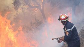 حرائق الغابات: السعودية تعزي الجزائر