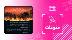 حرائق الغابات.. 8 نصائح مهمة تمنع الكارثة