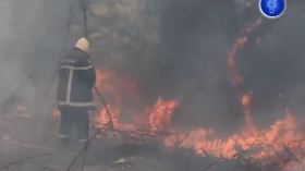 جيجل: تواصل جهود أعوان الحماية المدنية والمواطنين لإخماد الحرائق على مستوى الزيامة منصورية