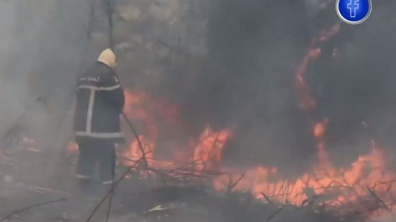 جيجل: تواصل جهود أعوان الحماية المدنية والمواطنين لإخماد الحرائق على مستوى الزيامة منصورية