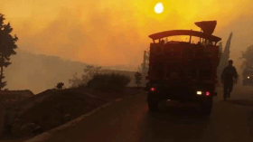 الداخلية: ارتفاع حصيلة ضحايا حرائق الغابات إلى 34 شهيدا