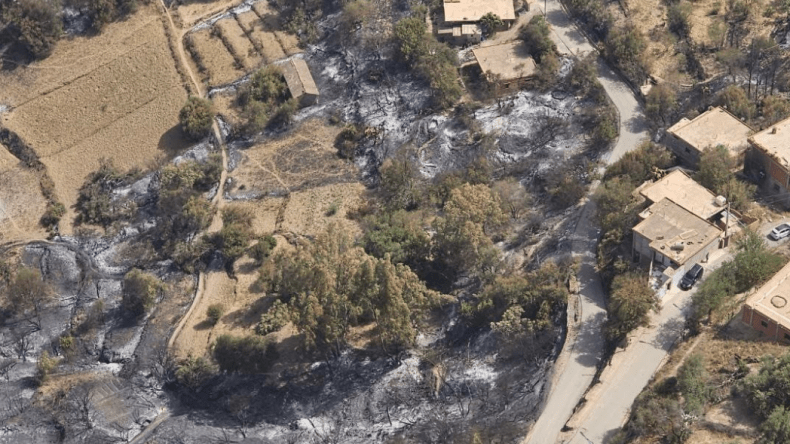 تعليمات “عاجلة” من وزارة الصناعة برفع إنتاج أدوية علاج الحروق