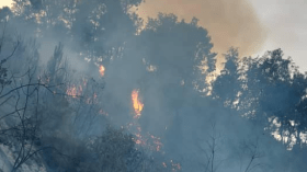 محكمة الأخضرية: توقيف شخصين يشتبه بتورطهما في نشوب حرائق الغابات