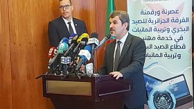 بداني: تعويض 40 ألف صياد خلال فترة الراحة البيولوجية