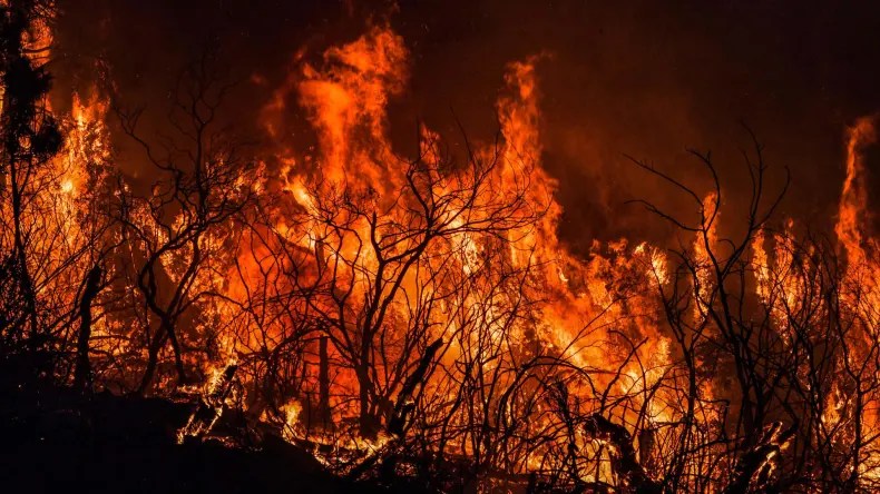 Feux de forêt: 12 mis en cause placés en détention provisoire