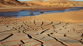 “L’Algérie est le pays le plus menacé par ces risques climatiques”, selon Pr. Chalghoum