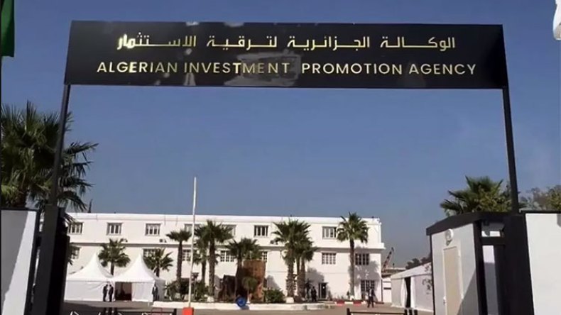 أراضي الدولة لرجال الأعمال الجادّين لـ40 سنة!