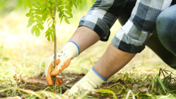 المبادرة التي كشفت قوة الأمل وقواعد الإصلاح!