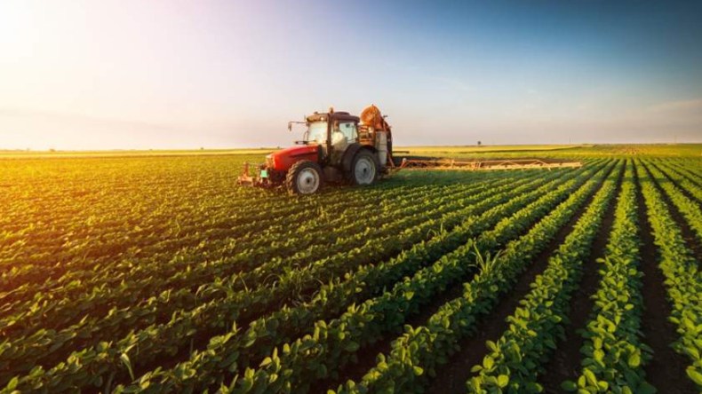 الأمــن الغـذائي: التحـدي أو الانصياع (2/3)