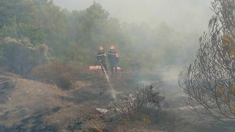 هبة تضامنية لمحو آثار الكارثة بالبويرة