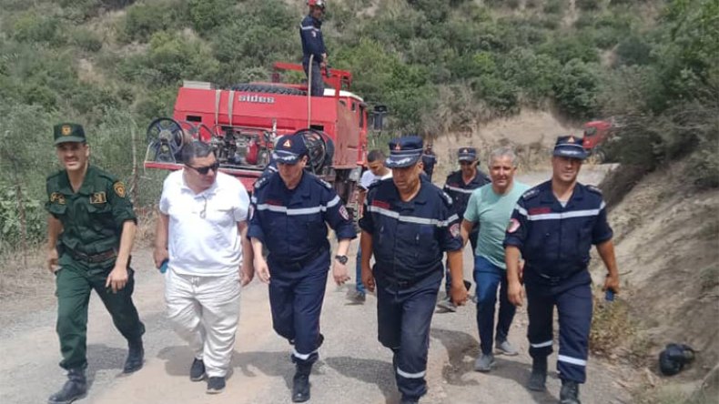 البويرة تضمد جراحها وتسترجع عافيتها بعد نكبة الحرائق