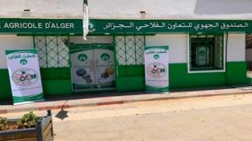 Feux de forêts: Indemnisation des mutualistes dans les 72 heures qui suivent l’expertise