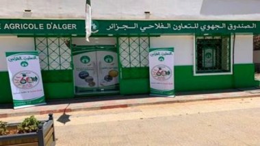 Feux de forêts: Indemnisation des mutualistes dans les 72 heures qui suivent l’expertise