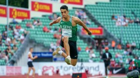 تريكي يصطاد ثلاثة عصافير بِحجر واحد