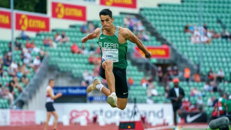 تريكي يصطاد ثلاثة عصافير بِحجر واحد