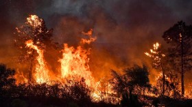 Grèce, Italie, Algérie, Tunisie, Espagne: La Méditerranée encerclée par les flammes