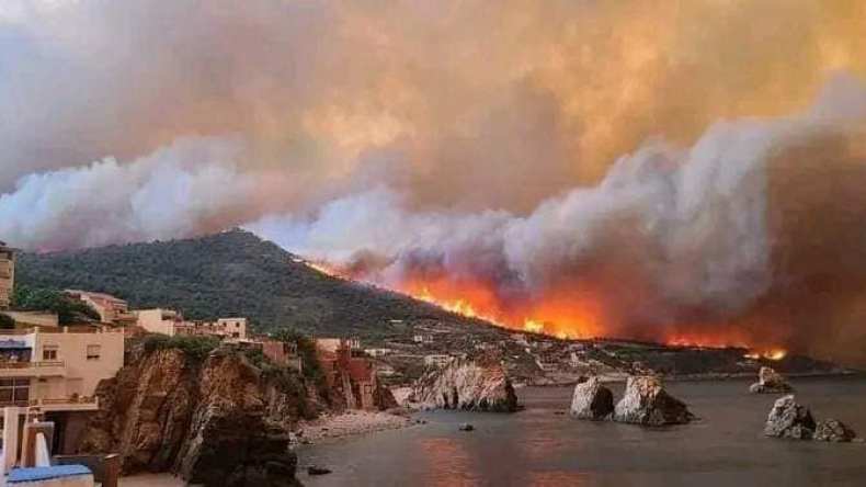 10 عوامل تتسبب في اندلاع الحرائق في الغابات