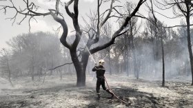 44 حريقًا بالغابات في 40 يومًا!