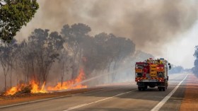 Incendies mortels à Béjaïa: 14 suspects arrêtés