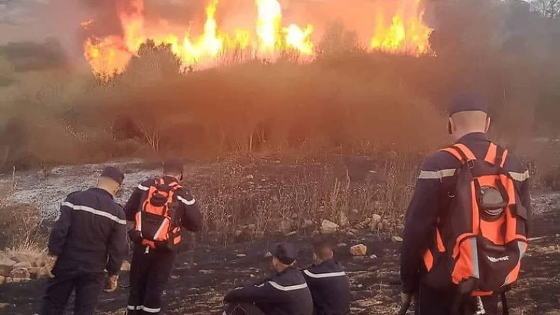 تهديدات الحرائق ستشتد خلال شهري سبتمبر وأكتوبر