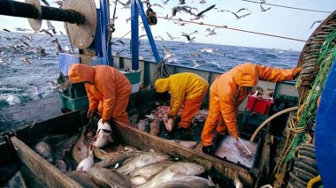 A Painful Blow From The European Union To Morocco’s Expansionist Dreams