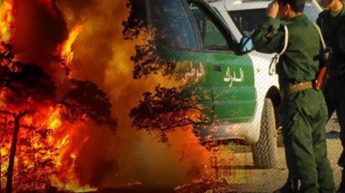 Incendies: Les familles des victimes appelées à se rapprocher de la Gendarmerie pour faciliter l’identification des cadavres