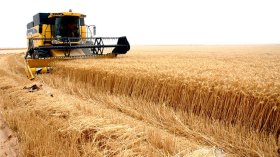 الأمن الغذائي: التحدي أو الانصياع (الجزء الثالث والأخير)