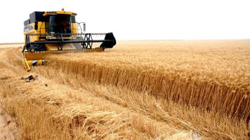 الأمن الغذائي: التحدي أو الانصياع (الجزء الثالث والأخير)