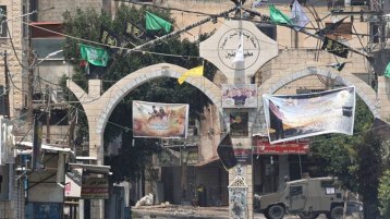 جنين.. الميلاد الجديد