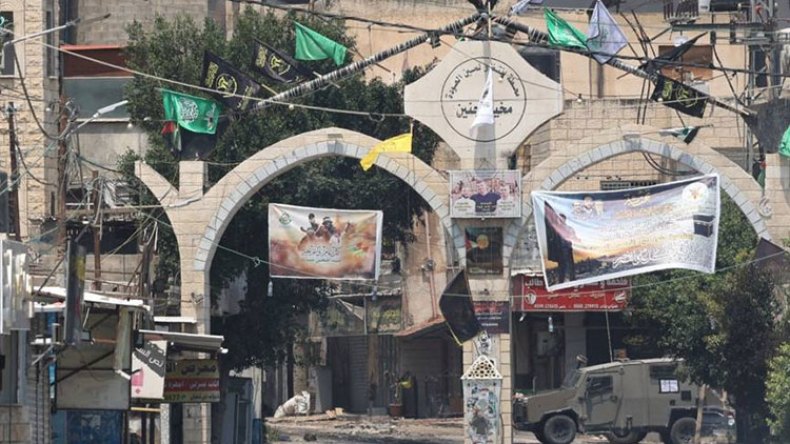 جنين.. الميلاد الجديد