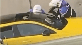 ميلونشون ومسيحة