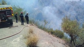 الحماية المدنية تتدخل لإخماد 830 حريق عبر الوطن