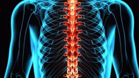 Sclérose en plaques: Une mutation génétique semble jouer un rôle selon une étude scientifique