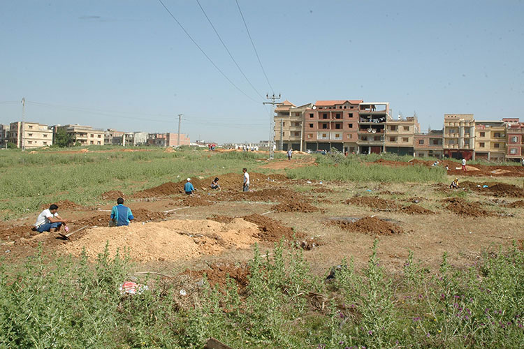 Algeria: “Retrieval Of All State Property And Real Estate By Force Of Law”