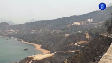 جيجل: زيامة منصورية .. النيران تحول الأخضر إلى سواد‎