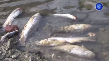 البليدة .. بلدية حمام ملوان تحذر المواطنين من السباحة في الوادي بسبب تلوث المياه