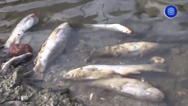 البليدة .. بلدية حمام ملوان تحذر المواطنين من السباحة في الوادي بسبب تلوث المياه