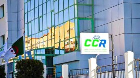 ارتفاع رقم أعمال شركة إعادة التأمين بـ 295 مليون دولار