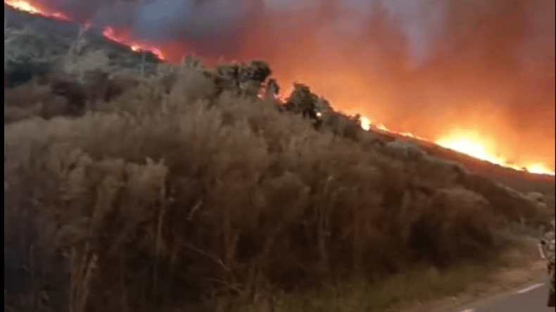 هذه الطرقات المغلقة بفعل حرائق الغابات