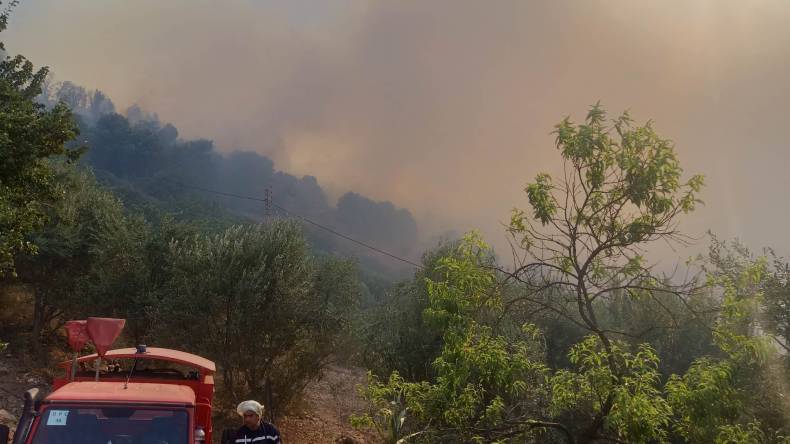 بالصور والفيديوهات.. ألسنة النيران تحاصر 8 ولايات