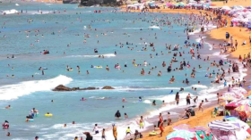 186 حالة استغلال غير شرعي للشواطئ خلال شهر واحد