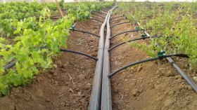 هنّي يشدّد على عصرنة طرق استغلال الأراضي الفلاحية