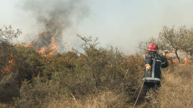 الحماية المدنية: إخماد معظم حرائق الغابات في 4 ولايات